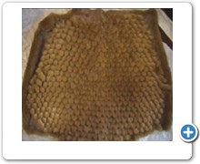 collection 12 Traforazione tricot a V 21